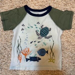 Tea Collection Graphic T Shirt